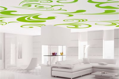 Plafond tendu Angoulême 16